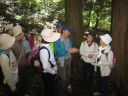 IMG_5450.jpg